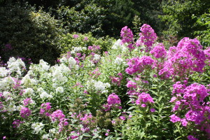 Four seasons of Garden Interest
