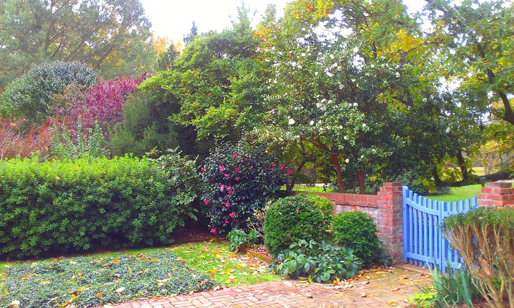 Beautifully Landscaped
