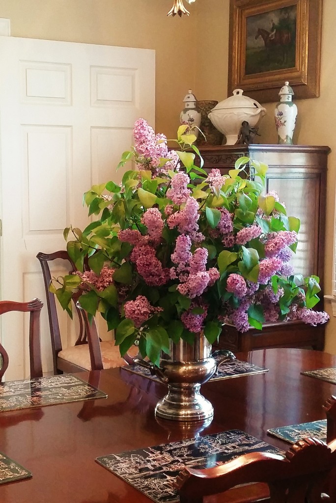 One of the great crowning glories of Spring.